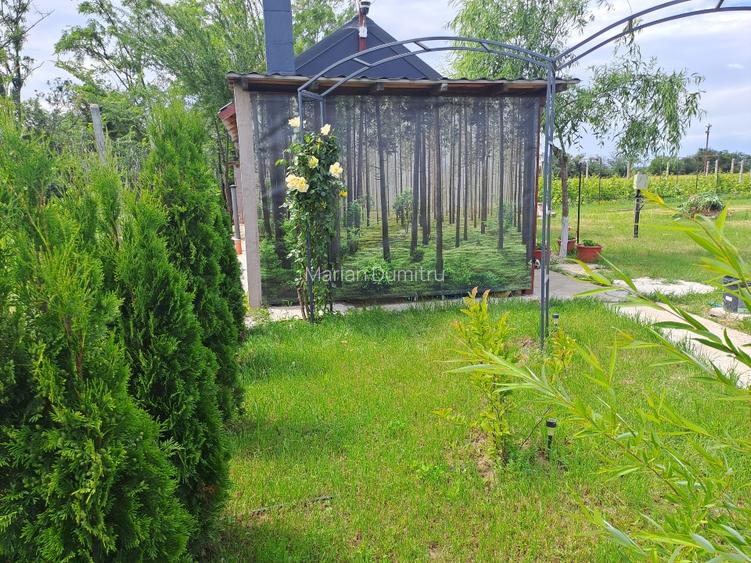 De vanzare teren intravilan cu livada si utilitati - 5