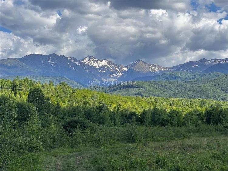 Vanzare parcele de teren 862mp / 1740mp pe Valea Avrigului, Județul Sibiu - 8