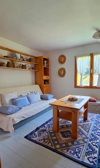 Vila Voineasa ,Transalpina ,teren5675mp