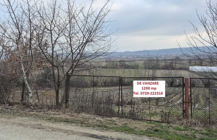 Teren intravilan de vânzare – Coltău, Maramureș | Zonă rezidențială de case