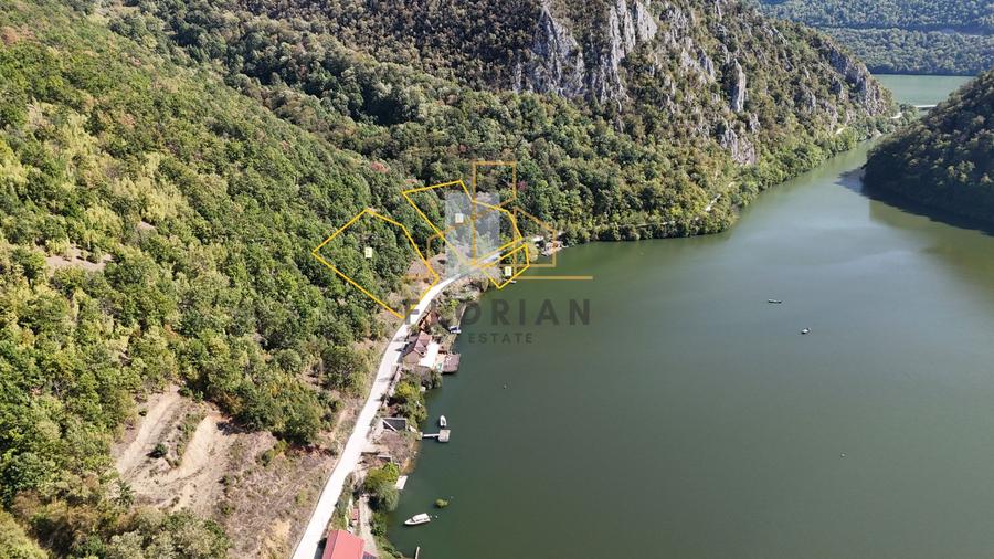 Teren la Eselnita, Golful Mraconia - Statuia lui Decebal