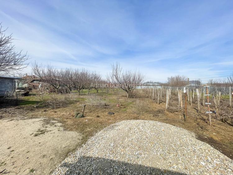 Mitreni-Valea Rosie-Acasa la Tara -4 camere-178 mp-LOT  1000 mp+Casa secundara - 42