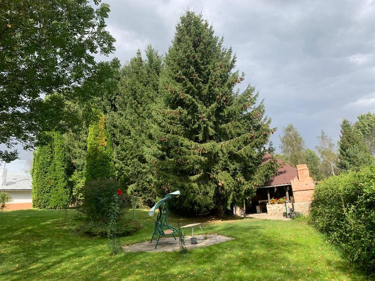 Proprietate de Vânzare în Brebu Nou-Ideală pentru Casă de Vacanță sau Investitie