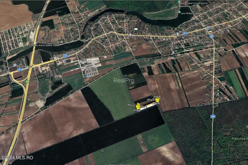 Moara Vlasiei - langa Padurea Biglaru, 11.884 mp, deschidere 40 ml - 14