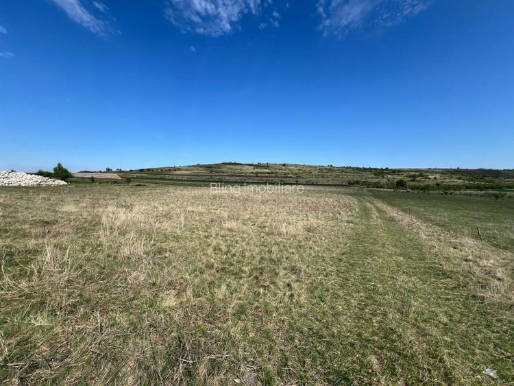 Teren extravilan de vanzare, 5800 mp, zona Chinteni