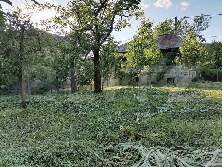 Casă la rRșu cu Livadă, Teren 1000 mp.  Gemenea Brătulești