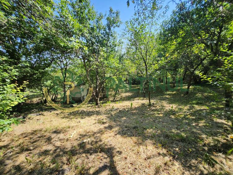 Casa de vanzare Nucet, la 21 km de Sibiu, 864 mp teren cu pomi fructiferi