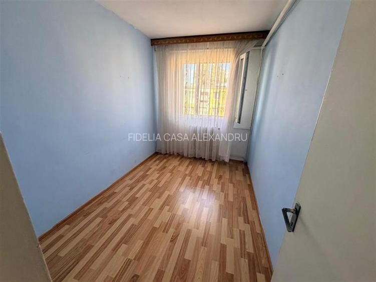 Apartament cu 3 camere Alexandru cel Bun  Piata Voievozilor - 10
