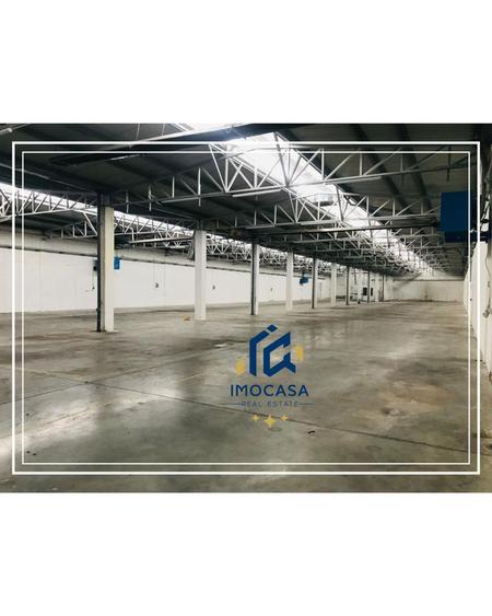 Hala de Inchiriat, comercial , industrial, logistica, Uta, Arad