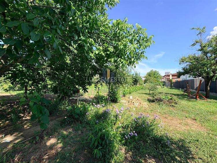 Casa individuala cu teren de 1.480 mp in Dumbravita - 10
