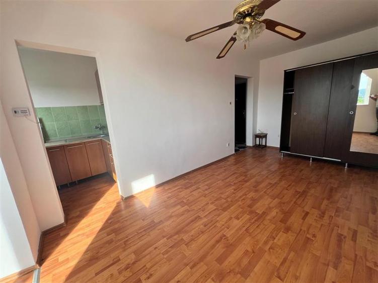 Apartament cu 1 camera de vanzare Mureseni