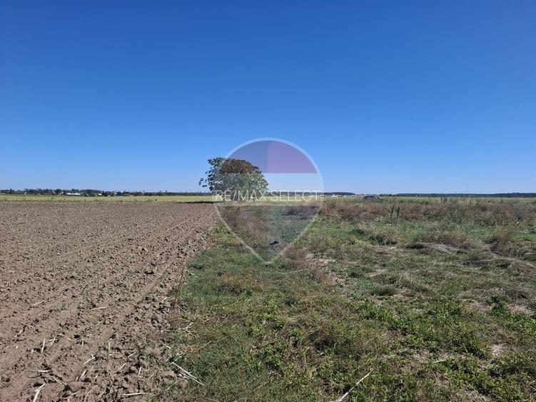 Vanzare teren extravilan 5.000mp - Pantelimon - 5