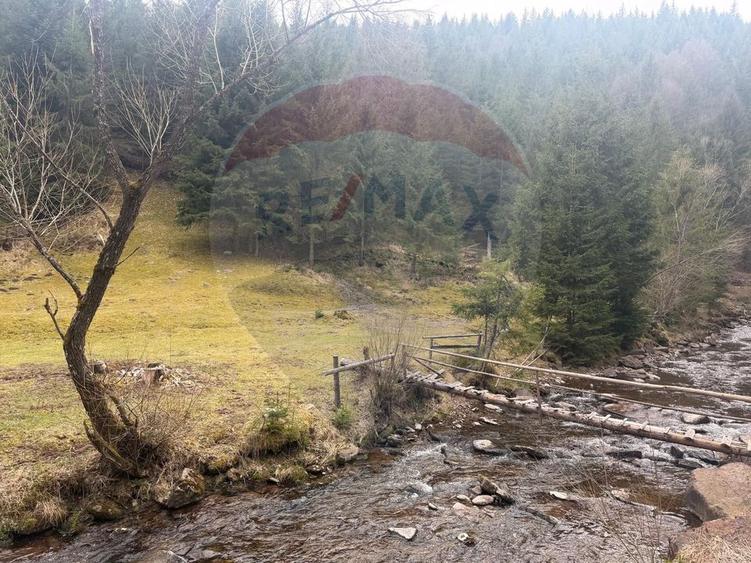 Teren intravilan 4331mp | Arieșeni | Oportunitate de Investiție