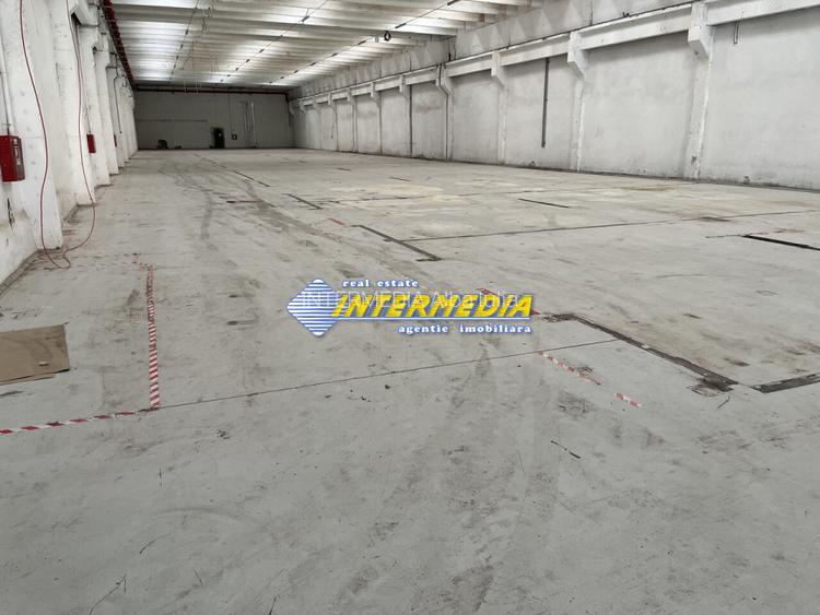 Hale Productie Depozitare Alba Su. de la 1725 mp. - 4000 mp. finisata complet - 9