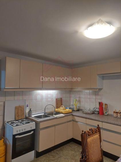 CASĂ DE VACANȚĂ 5 CAMERE,POINANA MĂRULUI, JUD.CARAȘ-SEVERIN - 10