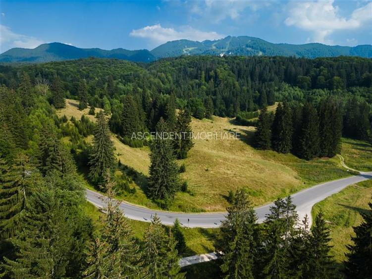 Film! Teren cu destinatie turistica si agrement, Poiana Brasov - Rasnov - 6