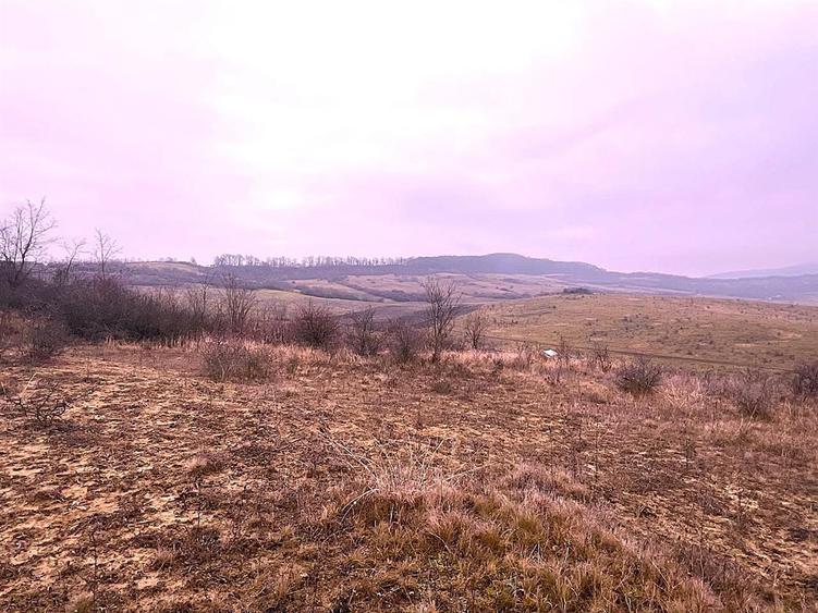Teren Extravilan Sigmir