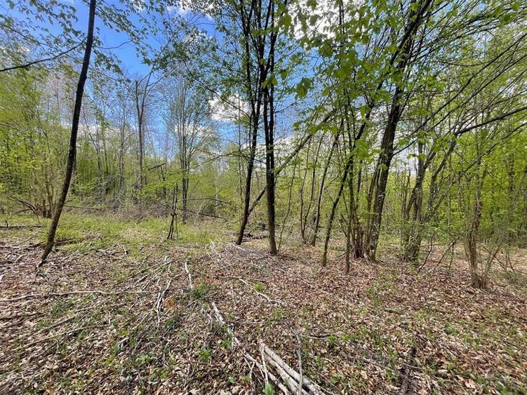 TEREN EXTRAVILAN | 103.000mp | BALANACA-GROSI | PASUNE | PASUNE IMPADURITA | BIH