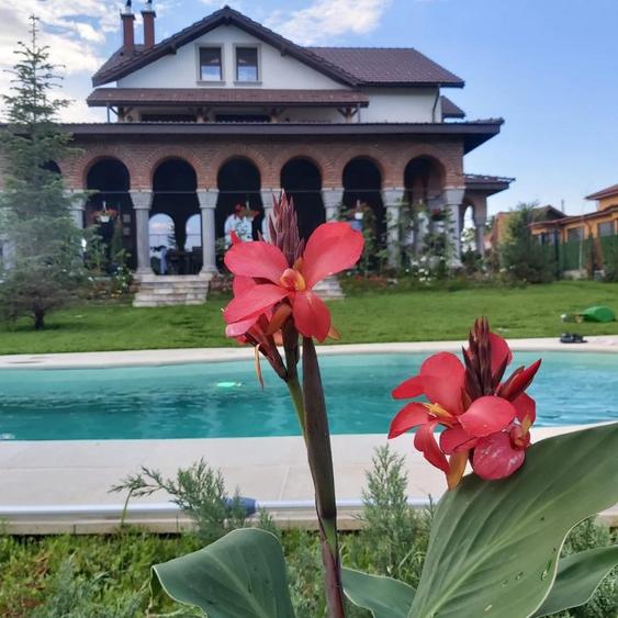 VILĂ DE PRESTIGIU IN LAGUNA ALBASTRĂ – CORBEANCA