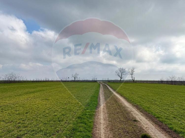 Teren de vanzare in Săcele ideal pentru silozuri, fermă 6 ha