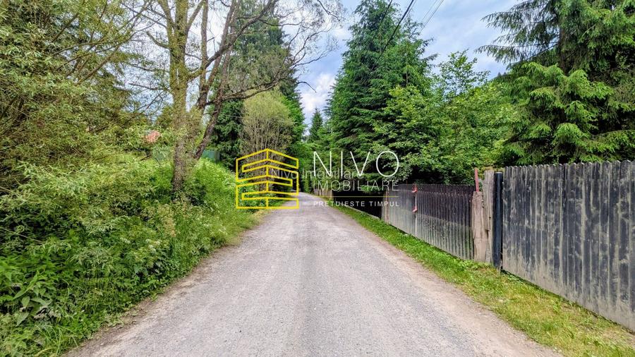 Cabană – Mureș – Sălard – Zona Pensiunea Denisa - 22