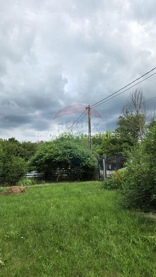 Domeniu rural, gospodarie/multifunctionala cu casa, livada, vie - 13