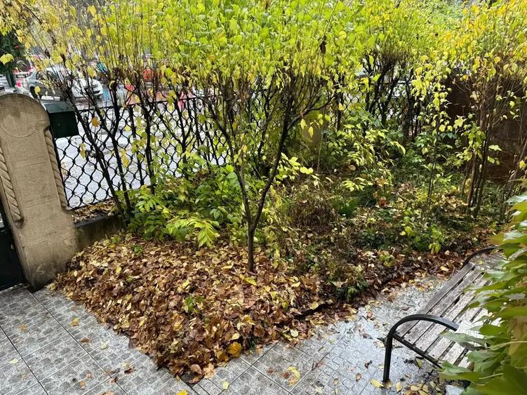 Apartament în Vilă | Parter | Destinație Mixtă Kiseleff – Aviatorilor