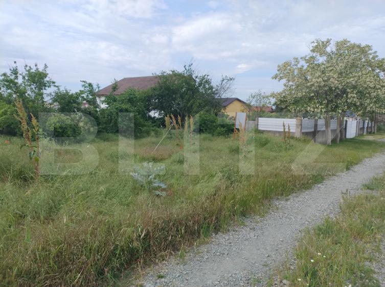 Teren intravilan 2500mp, Malu Mare!