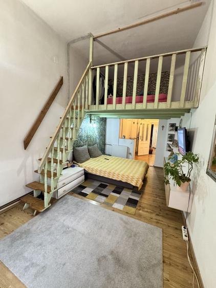 Casa Ultracentrala în Oradea, pe malul Crișului Repede