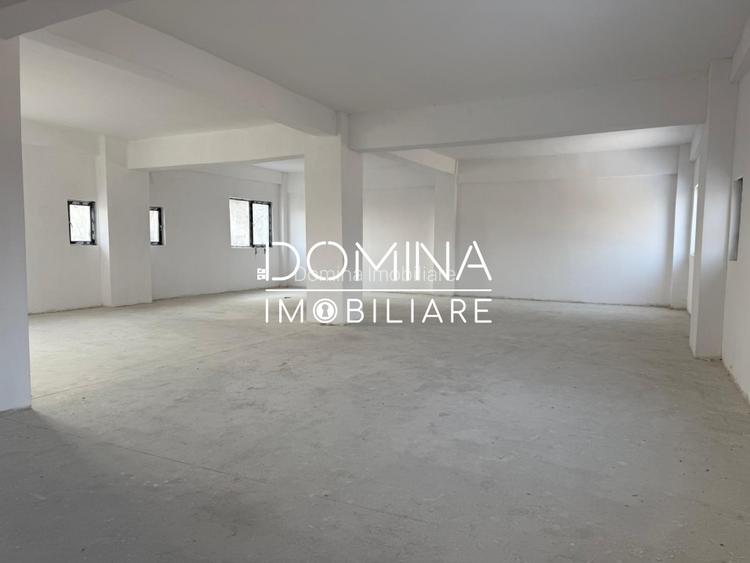 Spații pentru birouri și servicii - 319 mp/nivel - zona Coloana Infinitului - 3