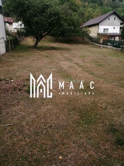 Teren Intravilan 10.000 mp | Livadă + Pădure de salcâm | Bărbătești - 3
