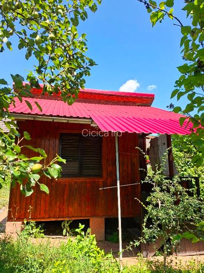 Vând proprietate Brănești Dâmbovița  - 2
