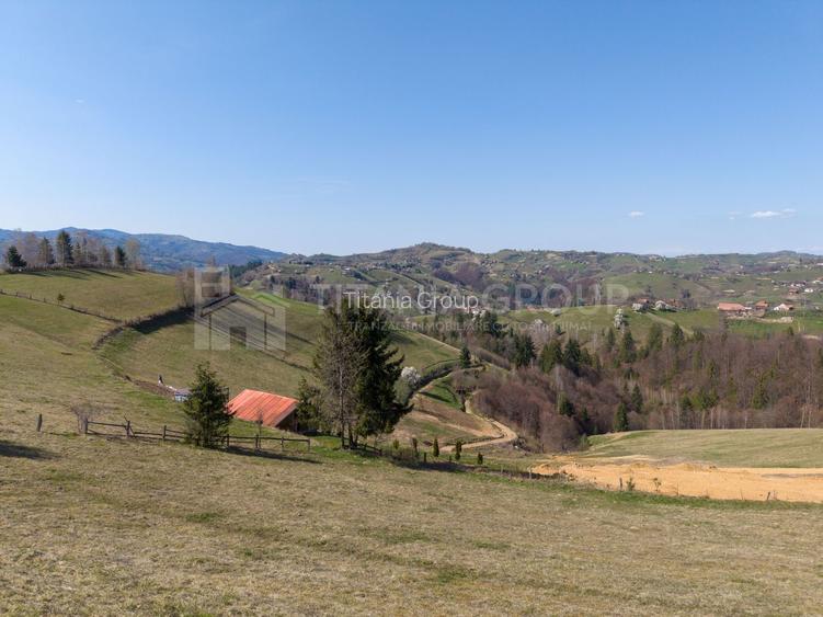 🌿 Teren Intravilan 3.791 mp | Priveliște Panoramică Superbă | Poiana Mărului - 20