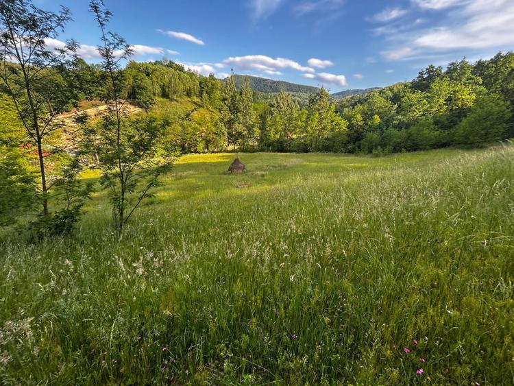 Teren de vanzare | 12 259mp |