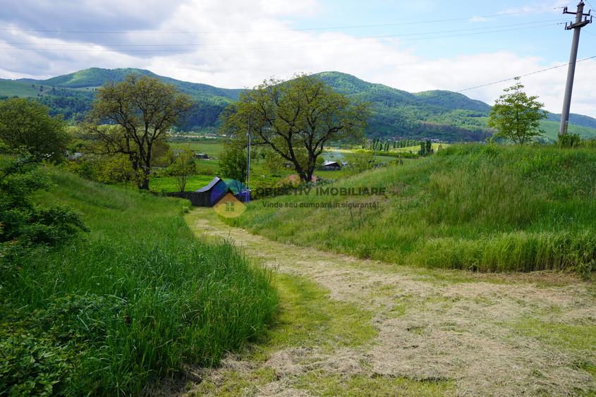 Teren 9000 mp intravilan Piatra Neamt , ideal investitie .