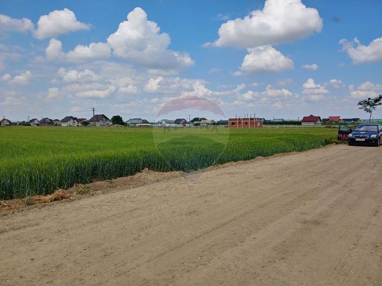 Teren intravilan 6,600mp Dumbraveni / Strada Principala spre Veresti