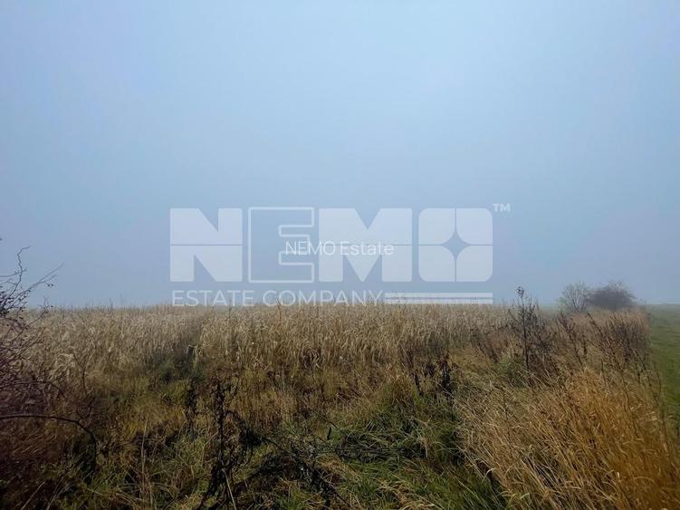 TEREN EXTRAVILAN | DOUA PARCELE 2.84 HA| DARMANESTI - 2