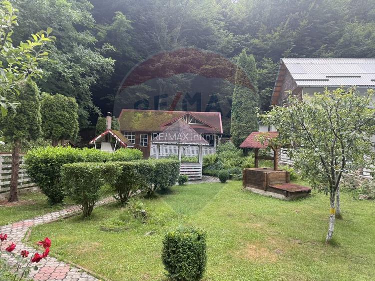 Cabana autentica de munte Frasinet - Baisoara 600 mp teren - 8