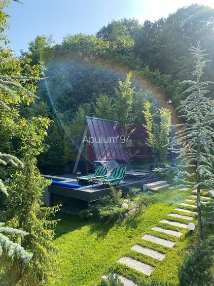 Cabane A frame + Teren 6000 mp |  Proprietate deosebita, NOU - 5