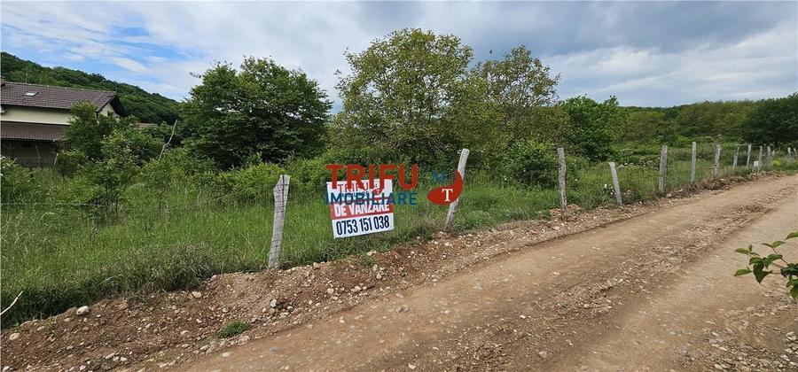 Teren Intravilan de 2000 mp de Vânzare în Valea Popii – Oportunitate d