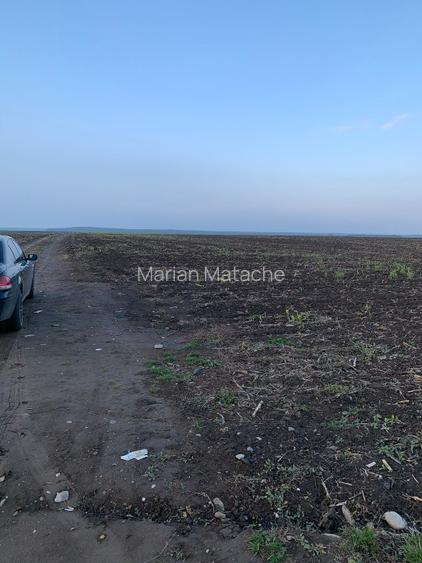 Teren intravilan parcelat 31000m2