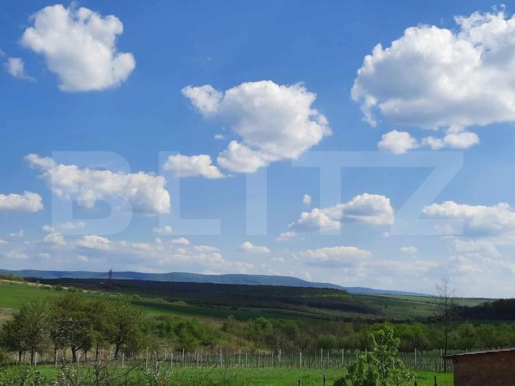 Casa/Vila de vanzare / posibil Pensiune ,cu view și pădure la colțul străzii