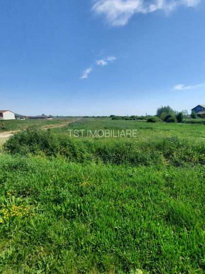 Teren intravilan la intrare în Vetiș – 12.216 mp - 2