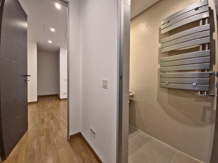 Apartament Primaverii - curte 100mp