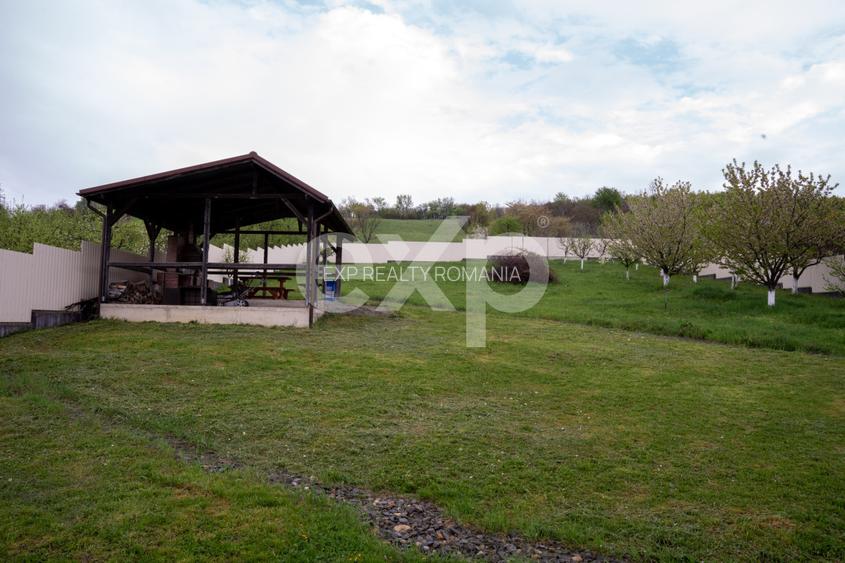 Proprietate unică, în zonă verde și liniștita - 7
