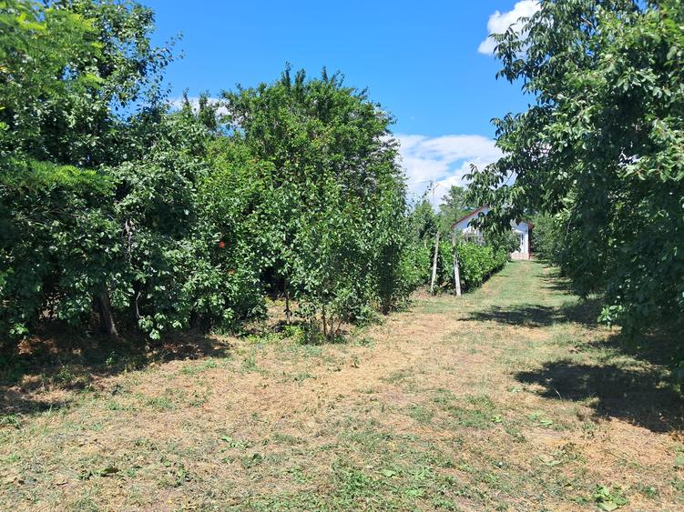 Vânzare Casă Buzău Cuculeasa Ziduri