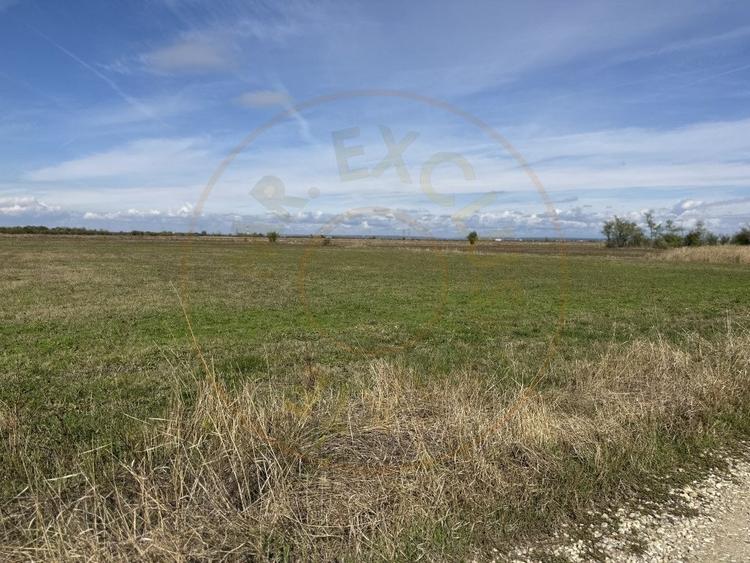 Teren intravilan 3700 mp la 28 km de Pitesti - zona linistita