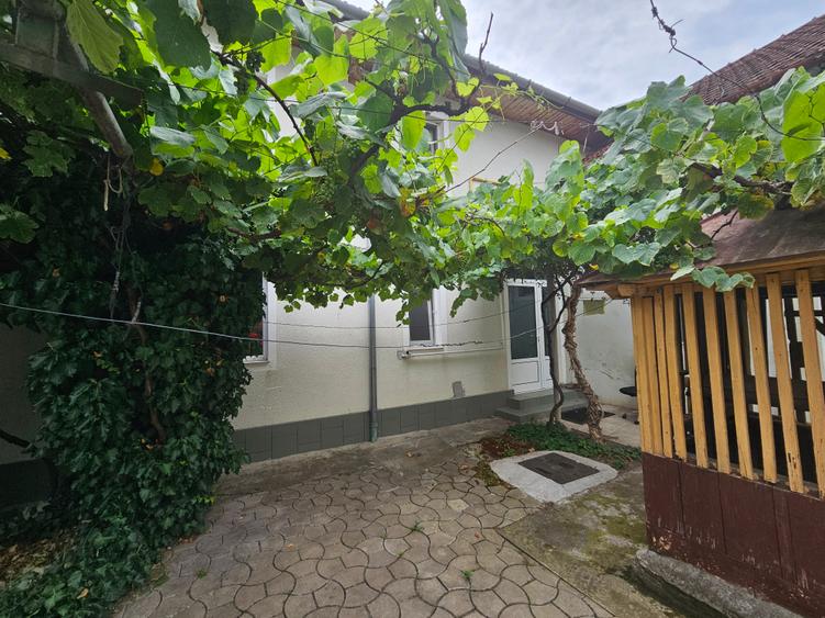 Închiriere casă P+E, 3 camere, 2 băi, curte, C. Șagului - Brâncoveanu