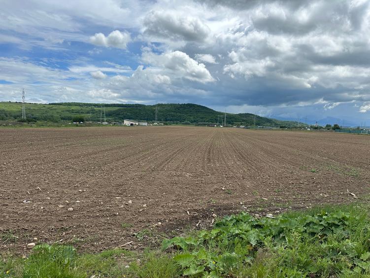 Teren extravilan 3.240 mp la strada * intre Selimbar si Bungard