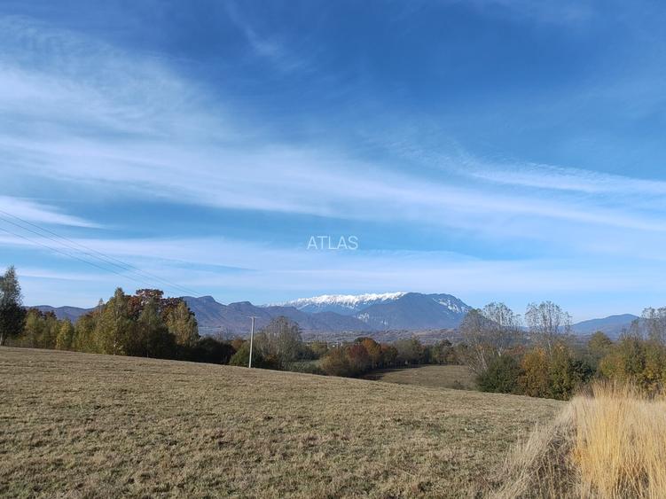 5.800 mp extravilan, Sohodol-Bran, retreat, cabane, off-grid ecoturism, panorama - 2
